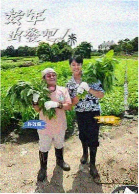 第二季播出档期资讯配图